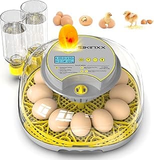 Incubator for Hatching Eggs-12 Egg Capacity, Automatic Egg Turner, Temperature & Humidity Control, 360° Viewing for Chicken, Duck and Quail Eggs